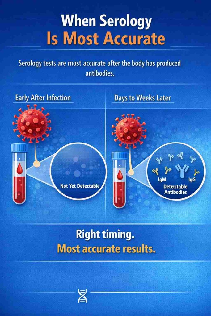 Infographic explaining when serology tests are most accurate, showing antibody production stages after infection.